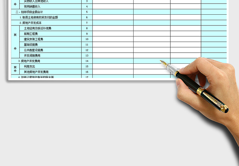 2024年土地增值税纳税申报表（五）从事房地产开发的纳税人清exce表格