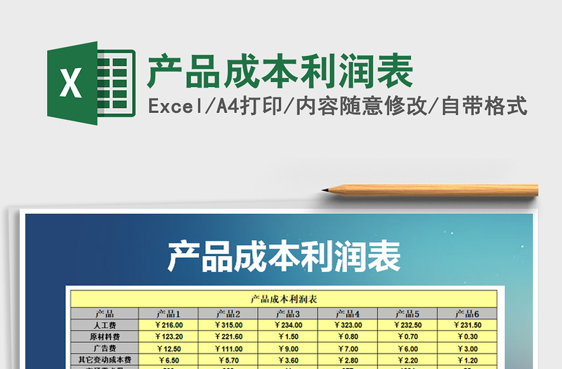 2025年产品成本利润表