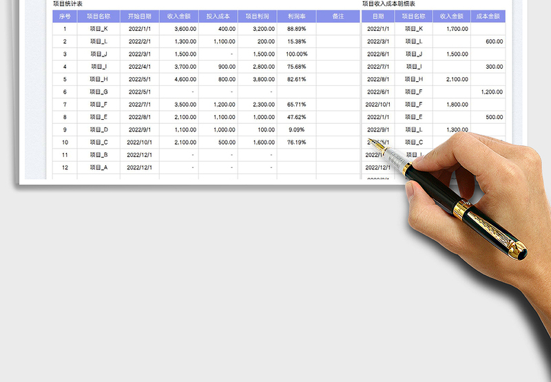 2025项目收入成本利润率统计表免费下载