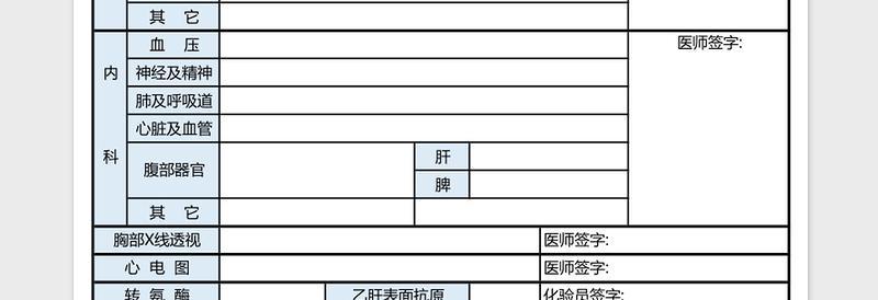 护士注册健康体检表excel模板