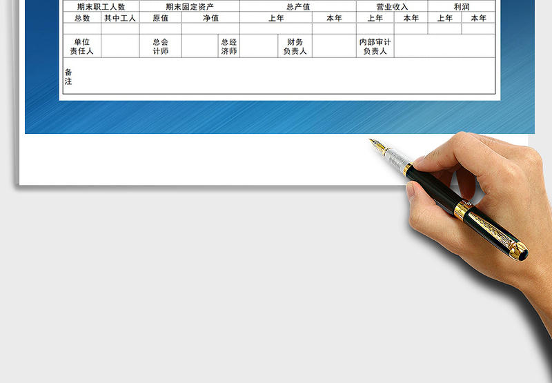 2025年被审计单位基本情况表免费下载