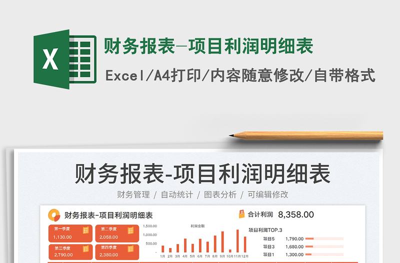 2025财务报表-项目利润明细表