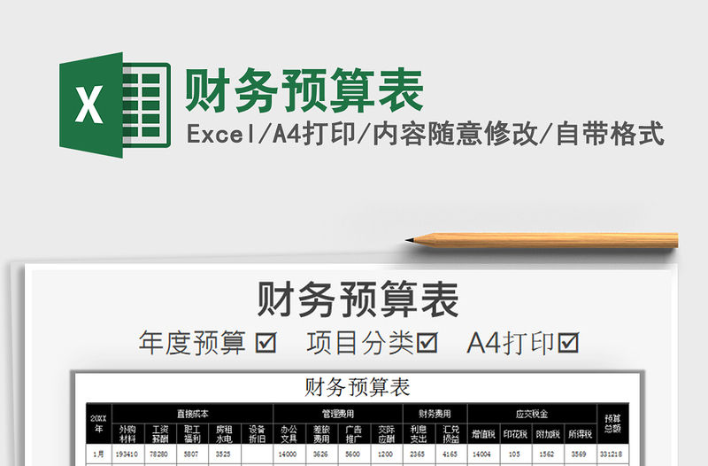 2025年财务预算表