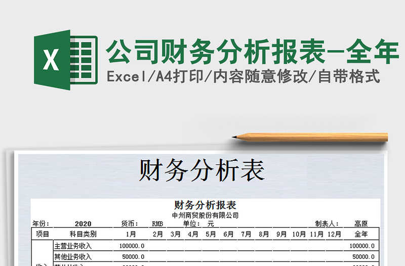 2025年公司财务分析报表-全年