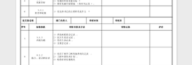 2025党建工作质量管理体系内部审核检查表