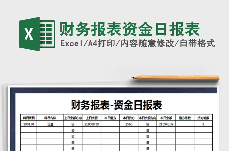 2025年财务报表资金日报表