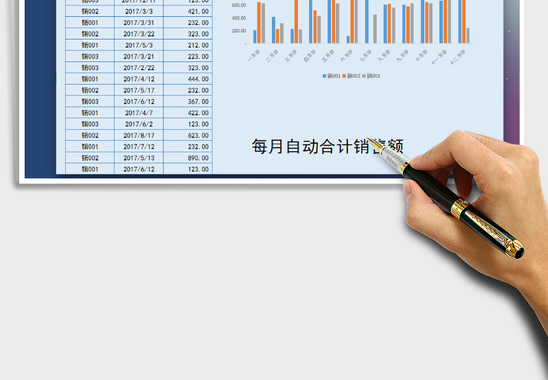 2025年销售管理（自动合计，图形显示）