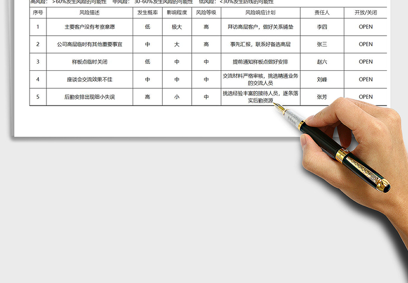 2025年项目风险管理表