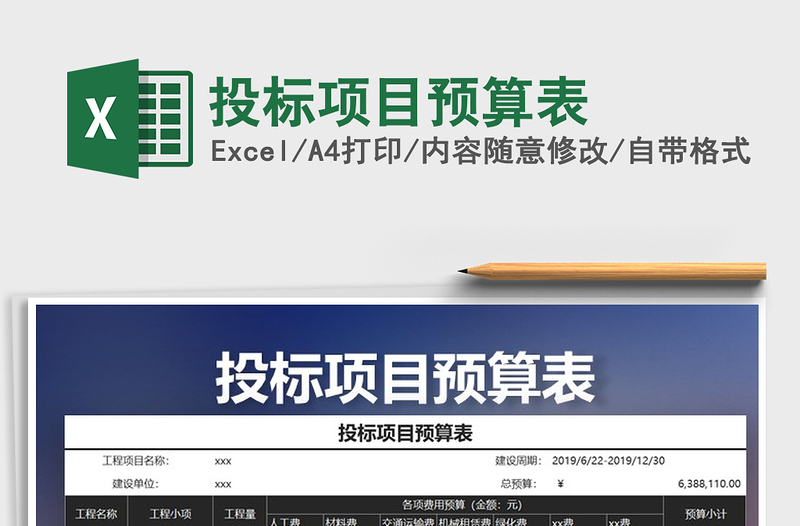 2025年投标项目预算表