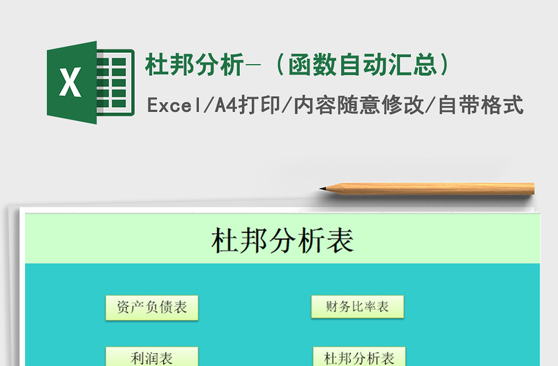 2024年杜邦分析-（函数自动汇总）