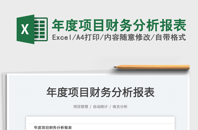 2025年度项目财务分析报表免费下载