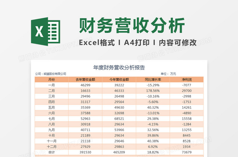 年度财务营收分析报告excel表格下载