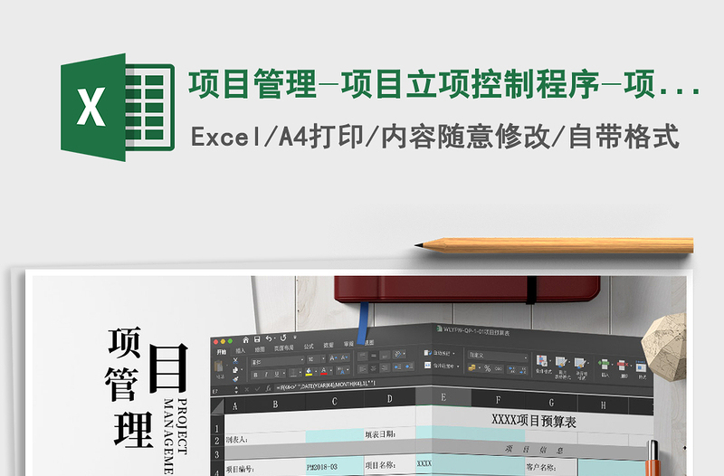 2024年项目管理-项目立项控制程序-项目预算表