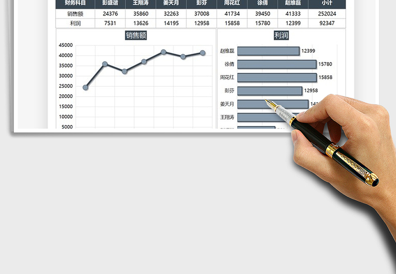 2025销售额与利润数据图表免费下载