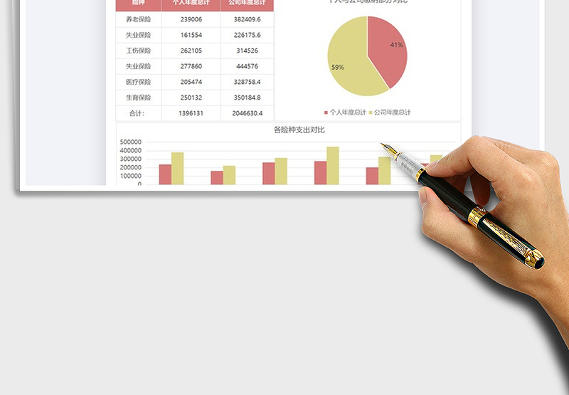 2025年社保年度支出财务分析表