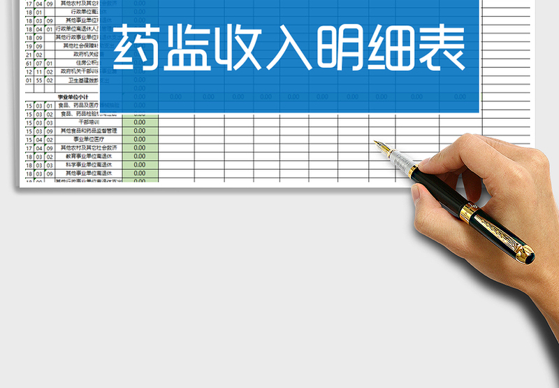 2025年清新药监收入明细表表格免费下载