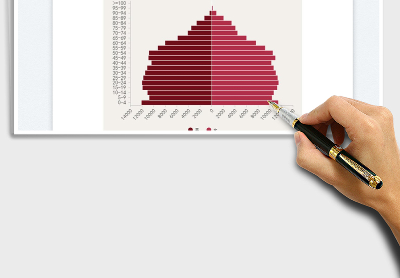 2025人口金字塔免费下载