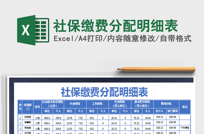 2025年社保缴费分配明细表