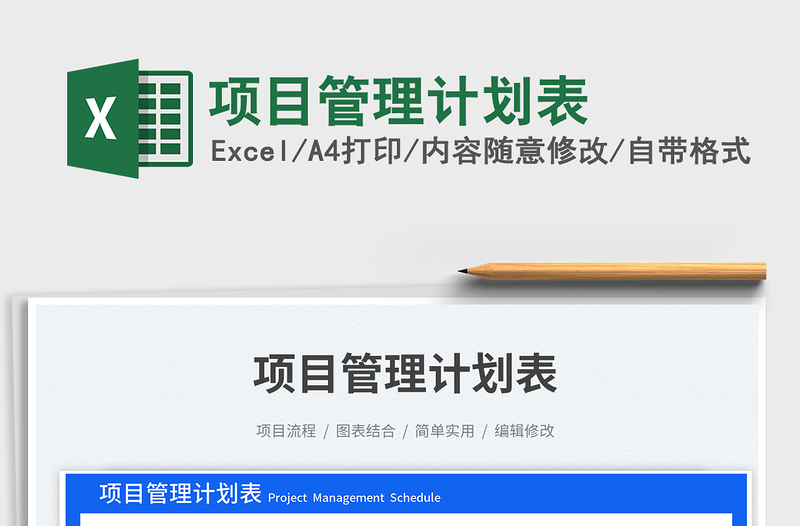 项目管理计划表excel表格