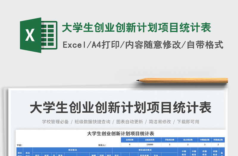 2025大学生创业创新计划项目统计表