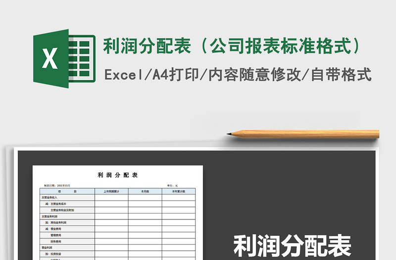 2025年利润分配表（公司报表标准格式）