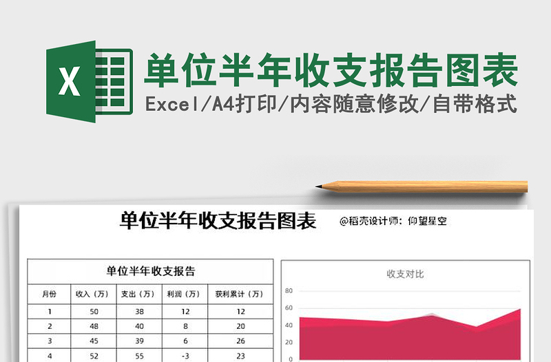 2025年单位半年收支报告图表