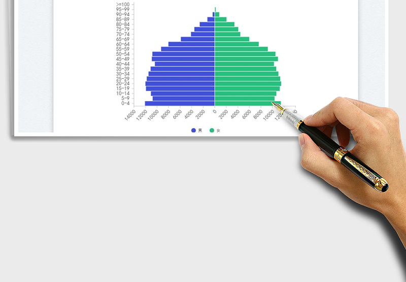 2025人口金字塔免费下载