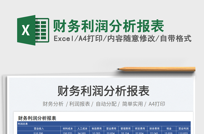 2025财务利润分析报表