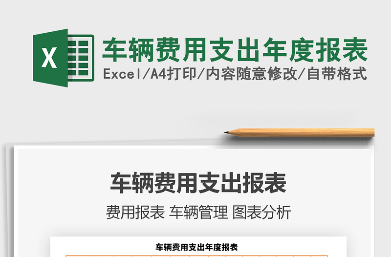 2025年车辆费用支出年度报表