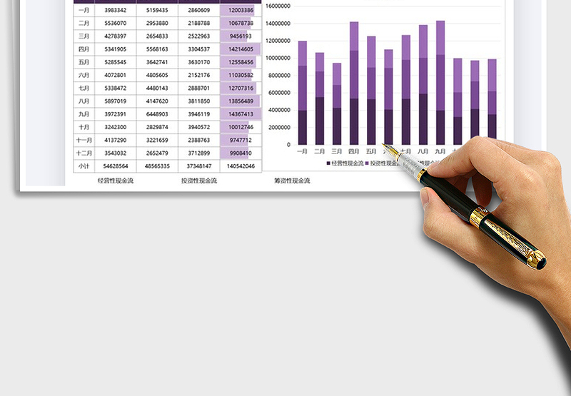 2025财务会计公司现金流数据图表免费下载