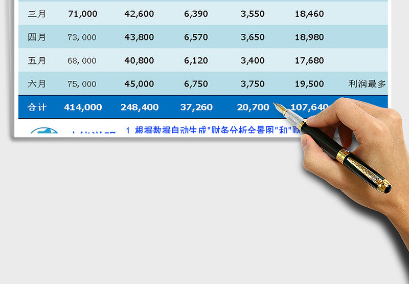 2025年财务分析情况表带全景分析图和明细项目分析图