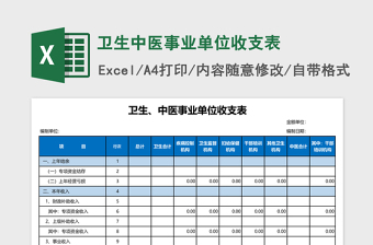 卫生中医事业单位收支表excel表格