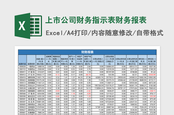 2025上市公司财务指示表财务报表