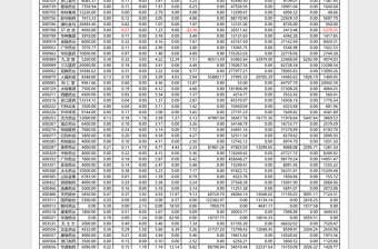 2025上市公司财务指示表财务报表