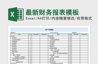 最新财务报表模板免费下载