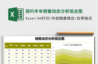 2025简约半年销售动态分析组合图excel模板