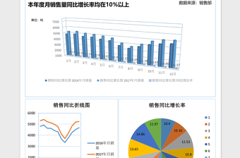 2025销量同比增长图excel表格模板