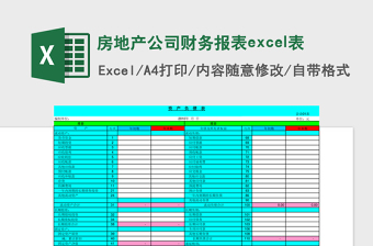 2025房地产公司财务报表excel表