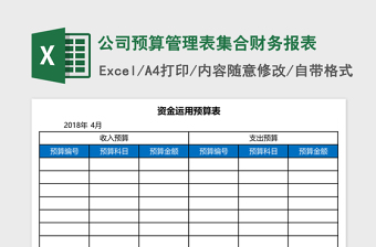 2025公司预算管理表集合财务报表