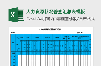 2025人力资源状况普查汇总表excel表格模板