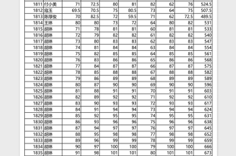 2025九年级中期成绩表Excel表格