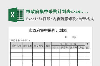 2025市政府集中采购计划表cxcel模板