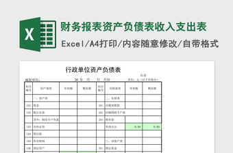 2025财务报表资产负债表收入支出表