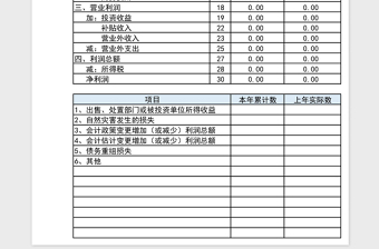 财务损益表模板表格