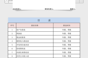 经营收入财务报表详细版模板