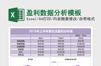 2025盈利数据分析excel表格模板