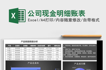 2025公司现金明细账表excel模板