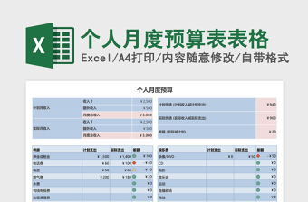 项目预算表