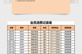 会员消费管理系统下载Excel管理系统下载