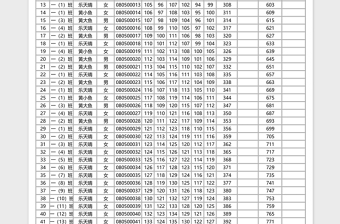 2025班级成绩登记Excel表格